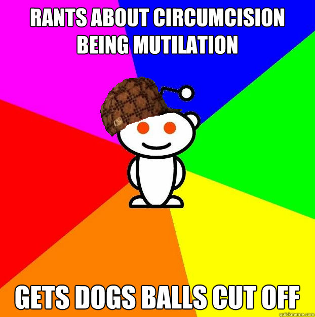 Rants about circumcision being mutilation Gets dogs balls cut off  Scumbag Redditor
