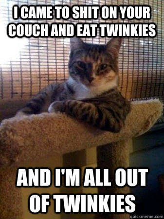 I came to shit on your couch and eat twinkies and i'm all out of twinkies  The Most Interesting Cat in the World