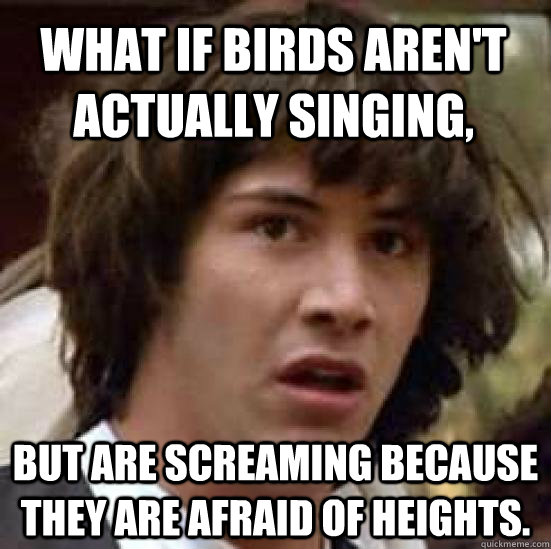 What if birds aren't actually singing, but are screaming because they are afraid of heights.   conspiracy keanu