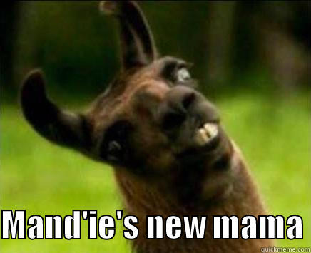   MAND'IE'S NEW MAMA Misc