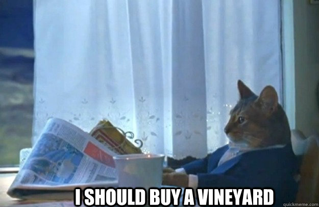 I should buy a vineyard  Sophisticated Cat