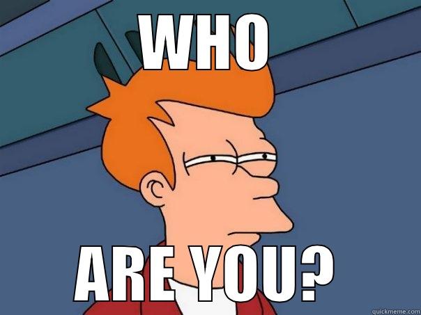 WHO ARE YOU? Futurama Fry