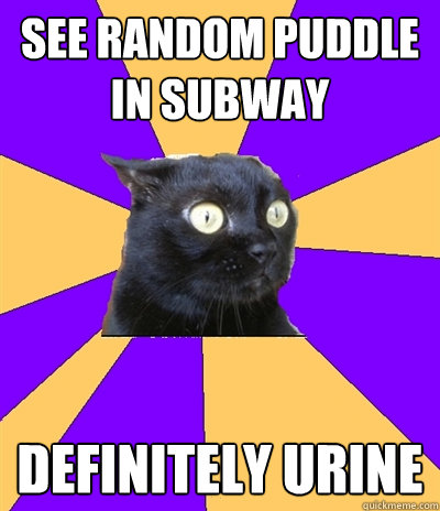 see random puddle in subway definitely urine  Anxiety Cat