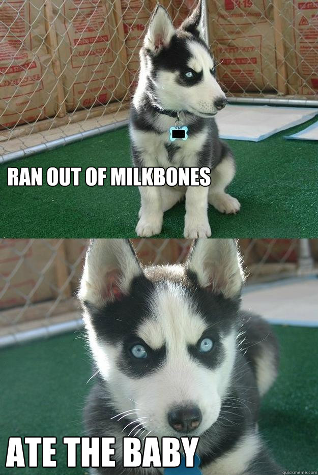 ran out of milkbones ate the baby  Insanity puppy