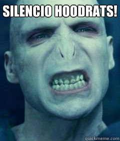 SILENCIO HOODRATS!   Voldemort Meme