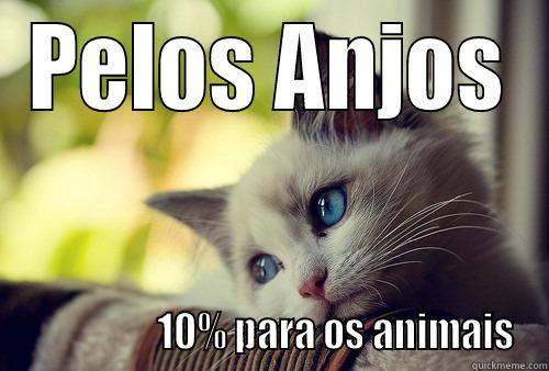 PELOS ANJOS                   10% PARA OS ANIMAIS First World Problems Cat