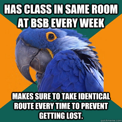 Has class in same room at BSB every week makes sure to take identical route every time to prevent getting lost.   Paranoid Parrot