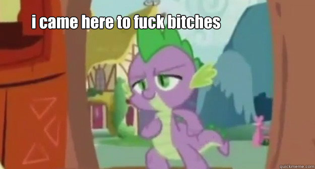 i came here to fuck bitches - i came here to fuck bitches  reaction image mlp spike