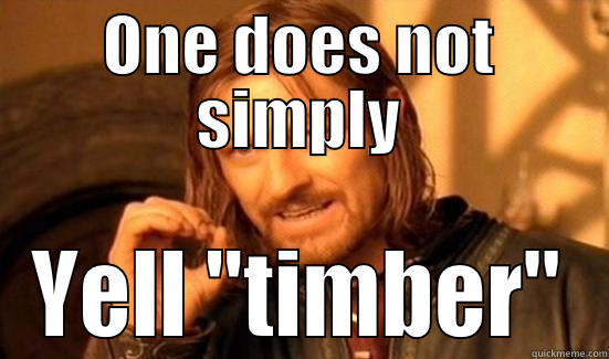 ONE DOES NOT SIMPLY YELL 