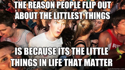 the reason people flip out about the littlest things is because its the little things in life that matter  Sudden Clarity Clarence