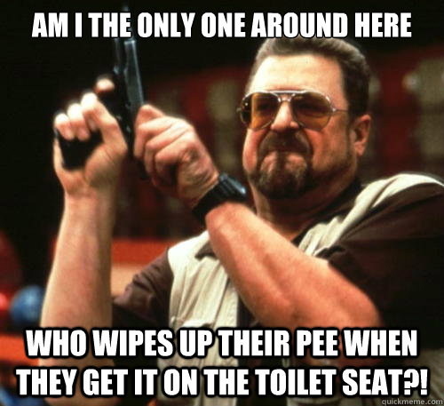 Am i the only one around here who wipes up their pee when they get it on the toilet seat?!  Am I The Only One Around Here