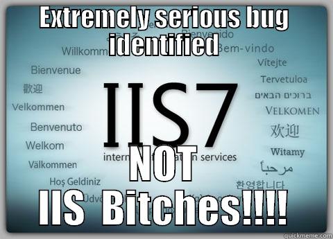 EXTREMELY SERIOUS BUG IDENTIFIED NOT IIS  BITCHES!!!! Misc