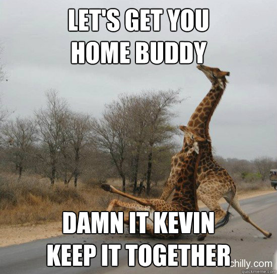 Let's get you 
home buddy Damn it kevin 
Keep it together  Giraffe