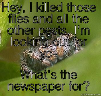 HEY, I KILLED THOSE FLIES AND ALL THE OTHER PESTS, I'M LOOKING OUT FOR YO- WHAT'S THE NEWSPAPER FOR? Misunderstood Spider