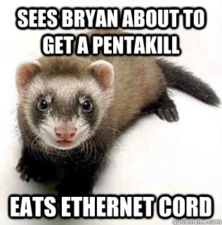 Sees Bryan about to get a pentakill eats ethernet cord  Logical Fallacy Ferret