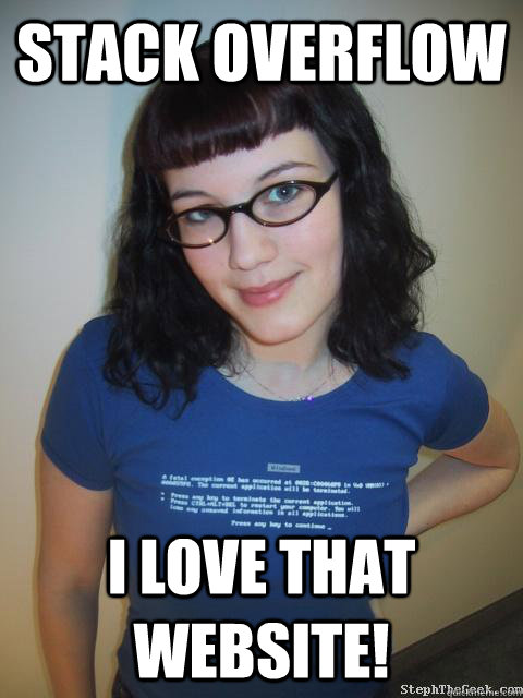 stack overflow i love that website!  Good Girl Programmer
