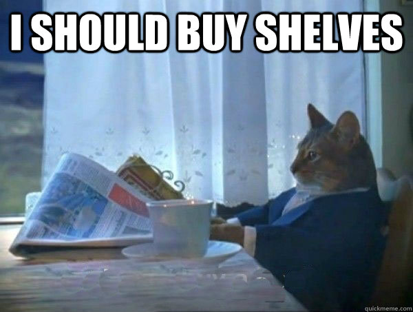 I should buy shelves   morning realization newspaper cat meme