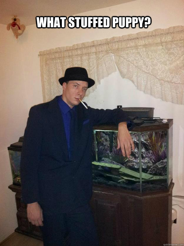 What stuffed puppy? - What stuffed puppy?  Misc