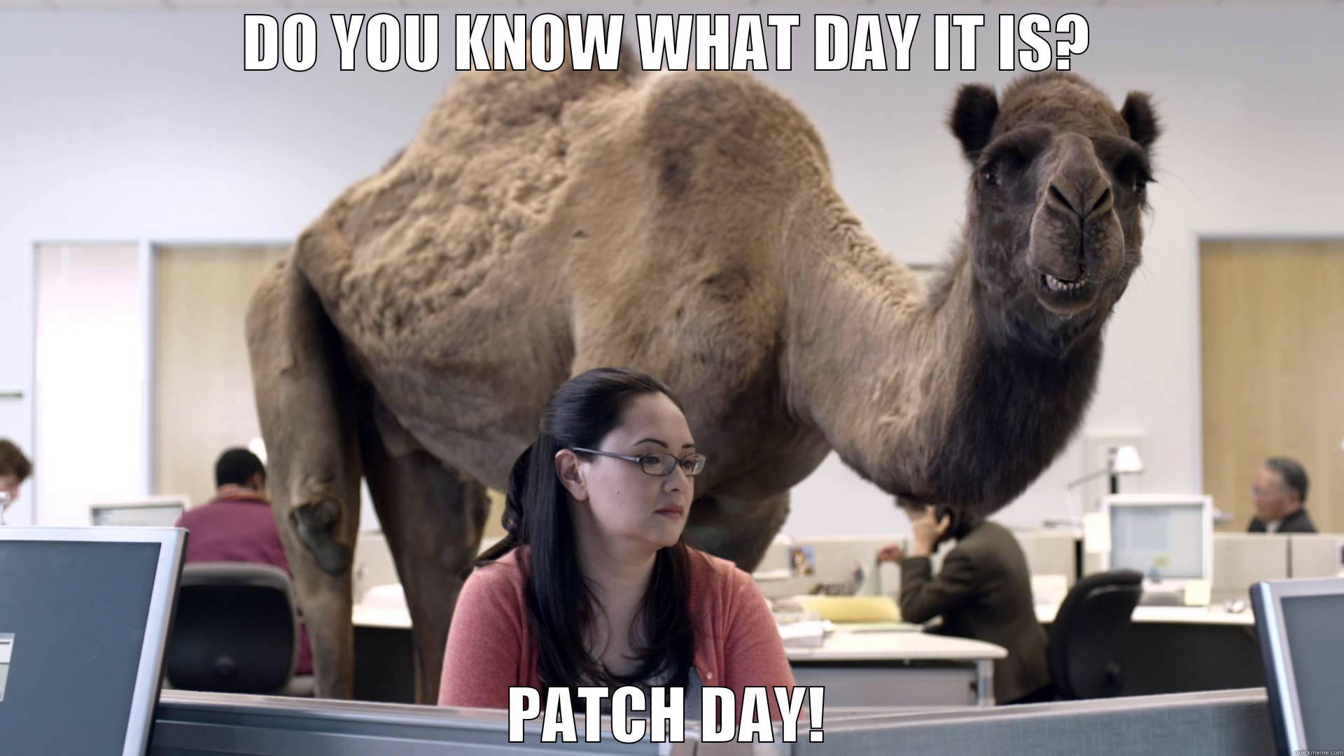 Patch Day! - DO YOU KNOW WHAT DAY IT IS? PATCH DAY! Misc