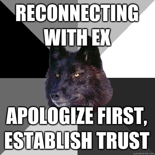 Reconnecting with ex Apologize first, 
establish trust  Sanity Wolf