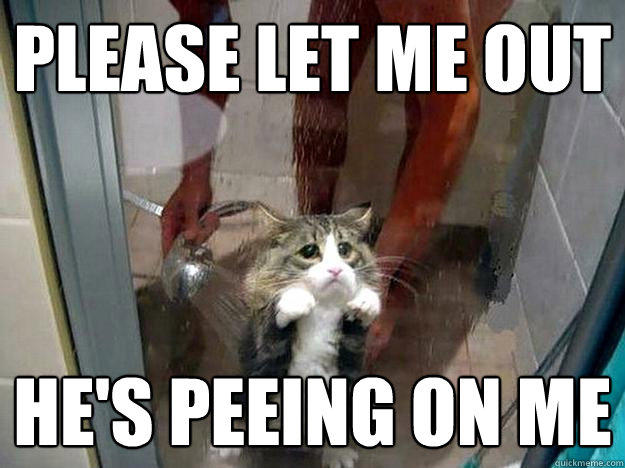 Please let me out He's peeing on me  Shower kitty