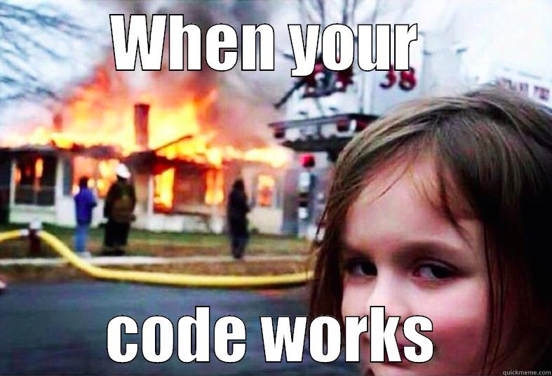WHEN YOUR  CODE WORKS Misc