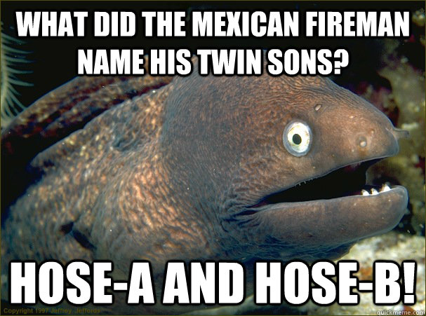 What did the Mexican Fireman name his twin sons? Hose-A and Hose-B! - What did the Mexican Fireman name his twin sons? Hose-A and Hose-B!  Bad Joke Eel