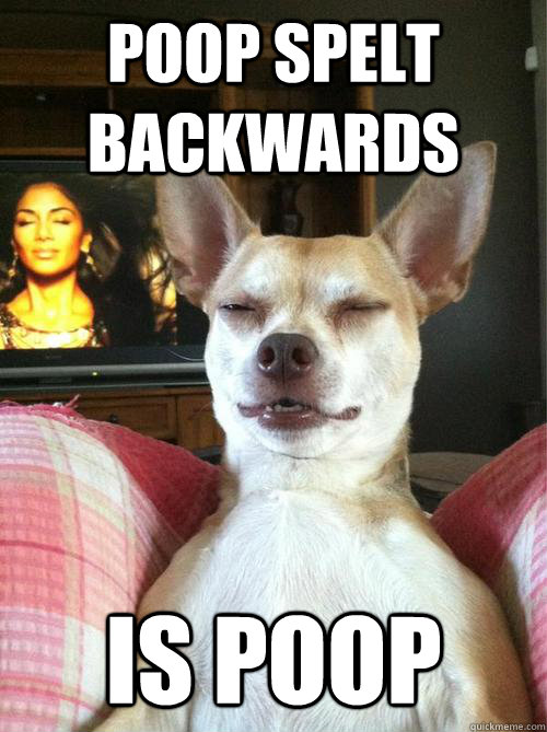 Poop spelt backwards is poop  10 Dog