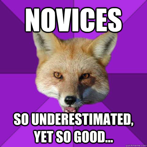 Novices So underestimated, yet so good...  Forensics Fox