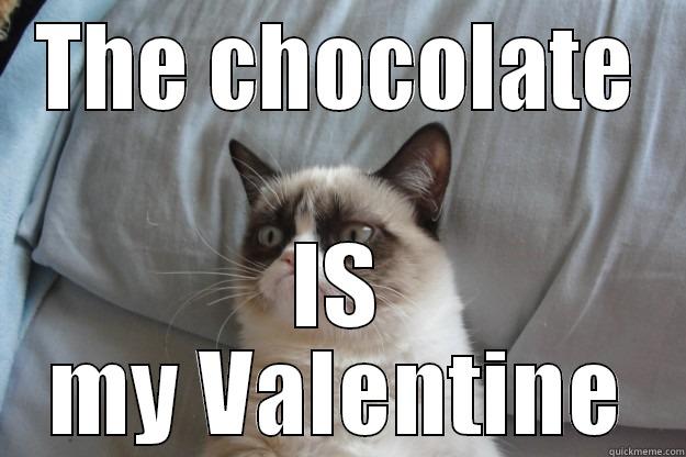 THE CHOCOLATE IS MY VALENTINE Grumpy Cat
