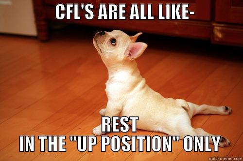                 CFL'S ARE ALL LIKE-                   REST IN THE 