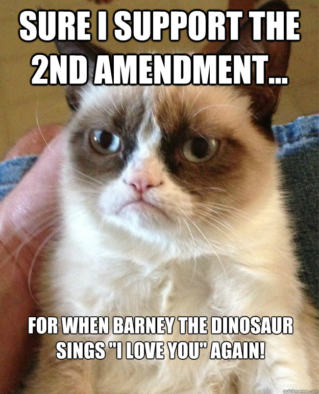 Sure I support the 2nd amendment...  for when Barney the dinosaur sings 