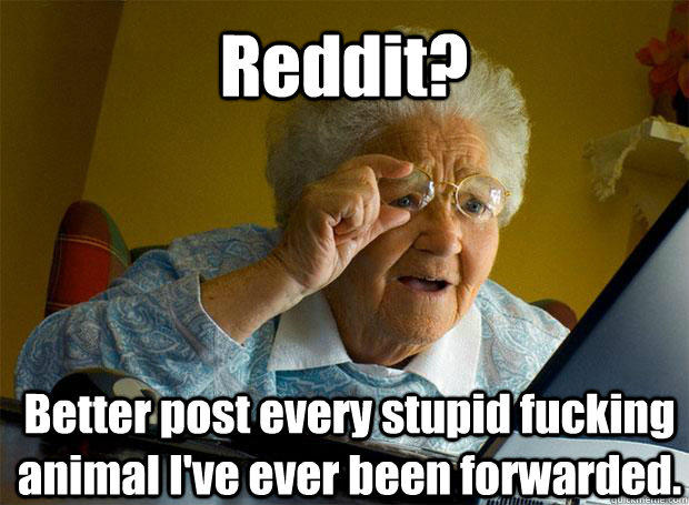 Reddit? Better post every stupid fucking animal I've ever been forwarded.    - Reddit? Better post every stupid fucking animal I've ever been forwarded.     Grandma finds the Internet