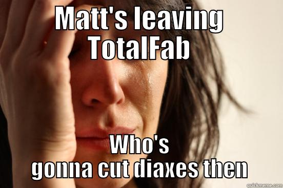 MATT'S LEAVING TOTALFAB WHO'S GONNA CUT DIAXES THEN First World Problems
