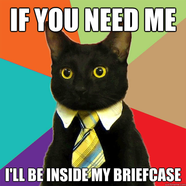 if you need me I'll be inside my briefcase - if you need me I'll be inside my briefcase  Business Cat