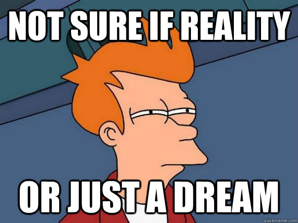 Not sure if reality Or just a dream  Futurama Fry