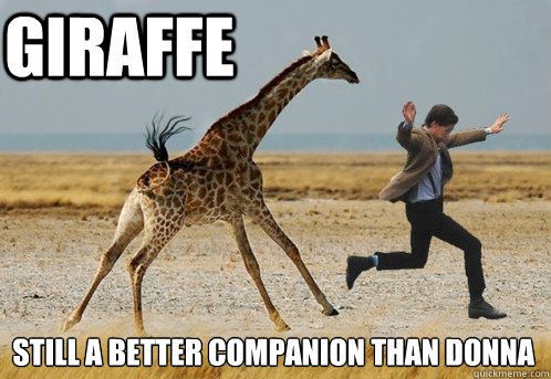Giraffe still a better companion than Donna  Doctor Who