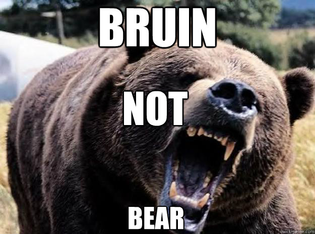 Bruin Not Bear  