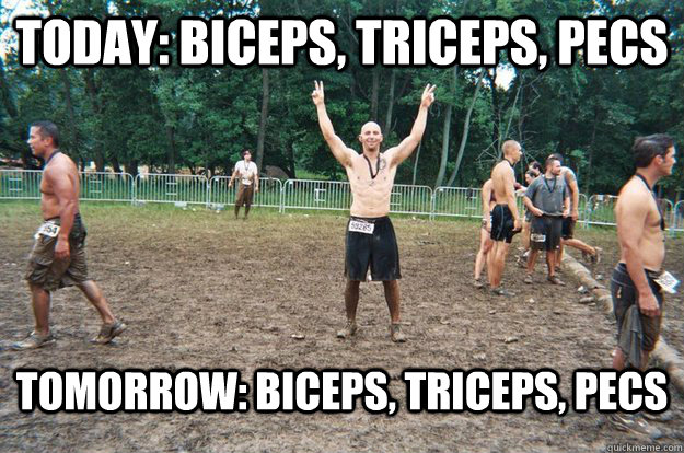 Today: Biceps, Triceps, Pecs Tomorrow: Biceps, Triceps, Pecs - Today: Biceps, Triceps, Pecs Tomorrow: Biceps, Triceps, Pecs  Bad Workout Nick