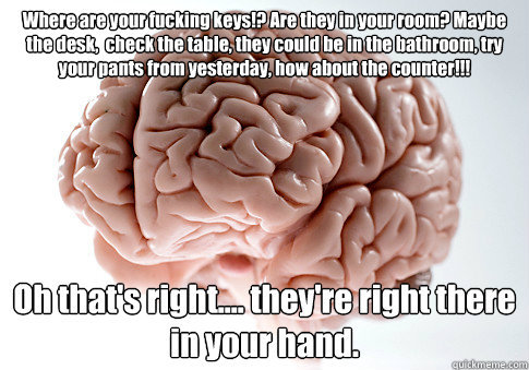 Where are your fucking keys!? Are they in your room? Maybe the desk,  check the table, they could be in the bathroom, try your pants from yesterday, how about the counter!!! Oh that's right.... they're right there in your hand.   Scumbag Brain