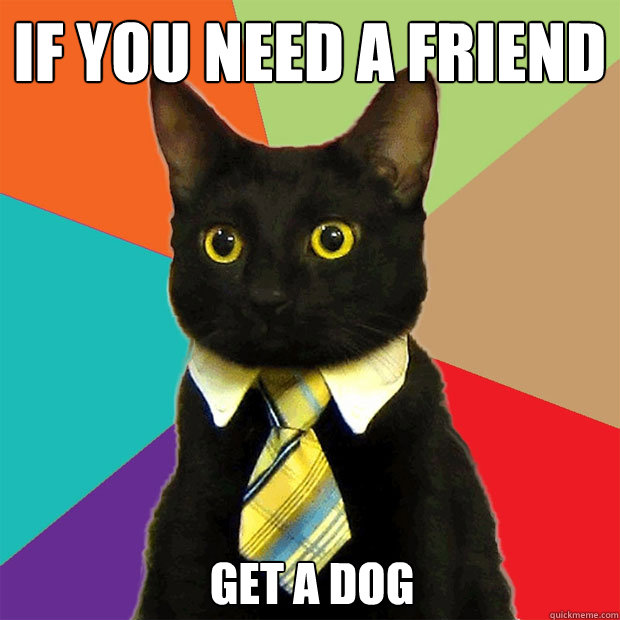 If you need a friend
 get a dog - If you need a friend
 get a dog  Business Cat