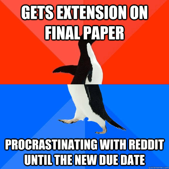 Gets extension on final paper Procrastinating with reddit until the new due date  Socially Awesome Awkward Penguin