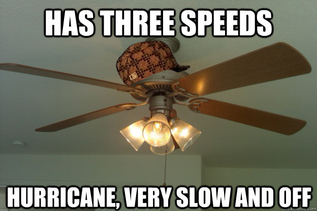 Has three Speeds Hurricane, very slow and off - Has three Speeds Hurricane, very slow and off  scumbag ceiling fan
