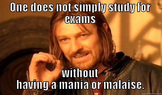 ONE DOES NOT SIMPLY STUDY FOR EXAMS WITHOUT HAVING A MANIA OR MALAISE. Boromir