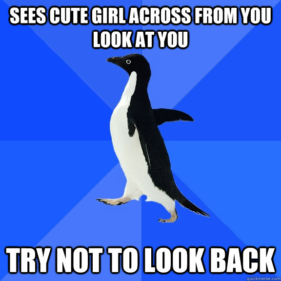 sees cute girl across from you look at you try not to look back  Socially Awkward Penguin
