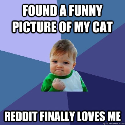 found a funny picture of my cat reddit finally loves me  Success Kid