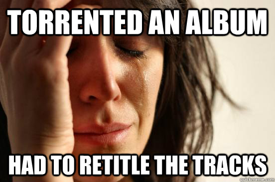 Torrented an album had to retitle the tracks  First World Problems