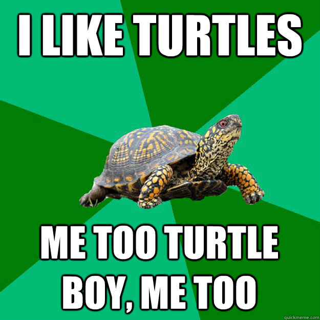 I like turtles Me too turtle boy, me too  Torrenting Turtle