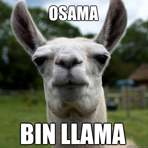 Osama Bin Llama - Osama Bin Llama  Oslama