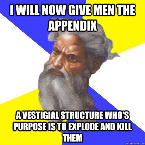 I will now give men the appendix  a vestigial structure who's purpose is to explode and kill them  Advice God
